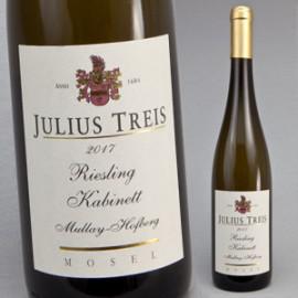 Riesling Mullay-Hofberg, Terrassen 2018, Weingut Julius Treis