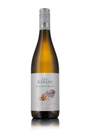Via Istrum, Sauvignon Blanc 2023