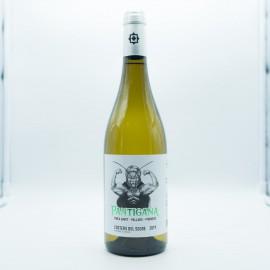Costers del Segre 
