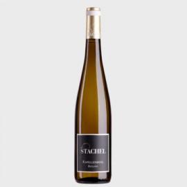 PFALZ, Riesling Alte Reben 2019, Alsterweiler Kapellenberg - Weingut Stachel 