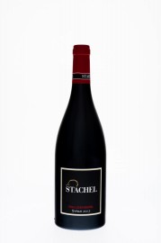 PFALZ, Heiligenberg Syrah 2018 - Weingut Erich Stachel 