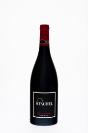 PFALZ, Heiligenberg Syrah 2013 - Weingut Erich Stachel - UITGEDRONKEN