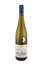 RHEINHESSEN, Weisser Burgunder Niersteiner Paterberg 2024 - Weingut Leonhard